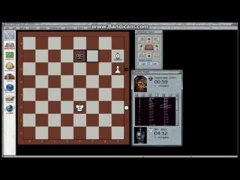 Beautiful chess problems najlepši šahovski problemi