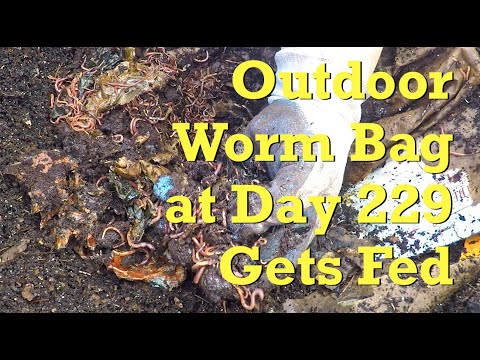 229-day outdoor worm bag fed a variety of frozen foods - vermicompost