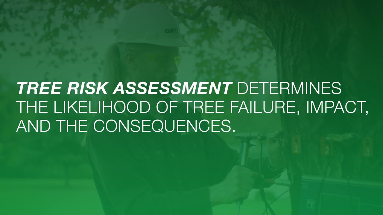 Davey Commercial Tree Care: Tree Risk Assessment & Management