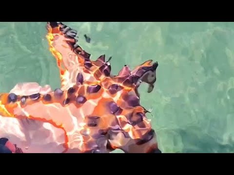 Summer outing - Floating Cottage (Little Boracay) Calatagan, Batangas