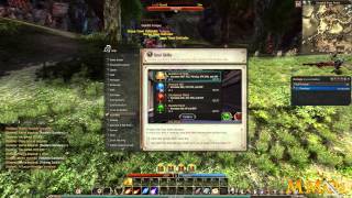 Echo of Soul Gameplay First Look HD - MMOs.com