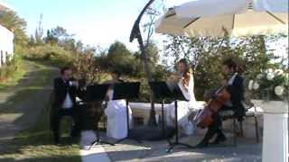 preview picture of video 'PORTARIA Concerto Piccolo String Quartet'
