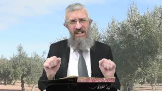 מסכת מנחות דף עט - 8 דקות של לומדות ועמקות בדרך הלימוד הישיבתית [Menachot 79]