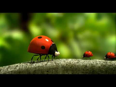 Minuscule S01E18 - La bonne éducation | The Good Education (4K 60 FPS AI Remaster)