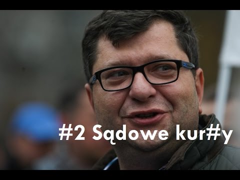 Darude feat. Zbigniew Stonoga  - Sądowe kur#y