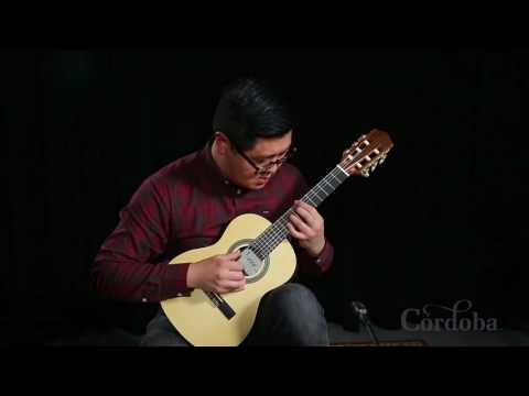 Protégé by Cordoba C1M 1/4 Classical Guitar Demo