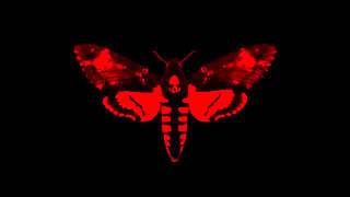 Lil Wayne - Beat The Shit (Feat. Gunplay) (I Am Not A Human