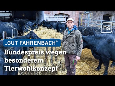 Bio-Hof aus Nordhessen erhält Bundespreis Ökologischer Landbau | hessenschau