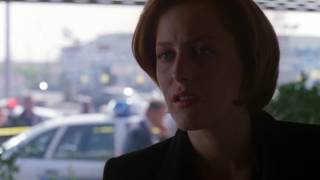 Scully, Don&#39;t Look Any Further
