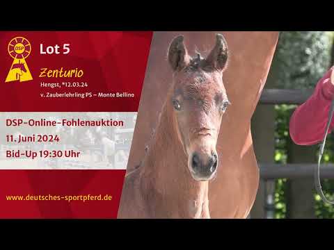 Lot 5 v. Zauberlehrling PS / Monte Bellino