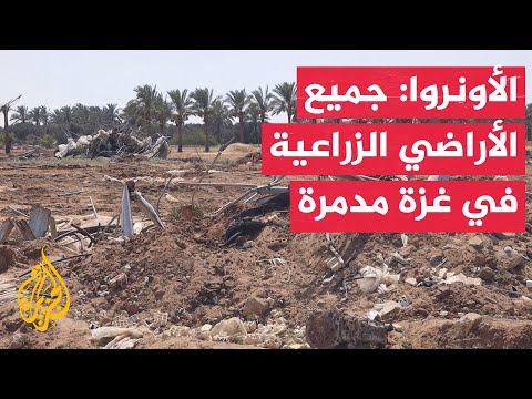 فيديو | الأونروا: يجب أن يكون هناك تدفق غير محدود للمساعدات إلى أن يعاد بناء القطاع الزراعي في غزة