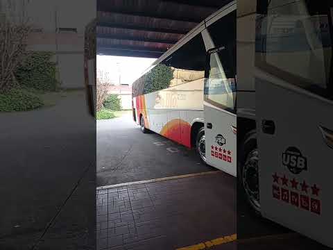 buses bio bio unidad 5418 ruta temuco-renaico-nacimiento
