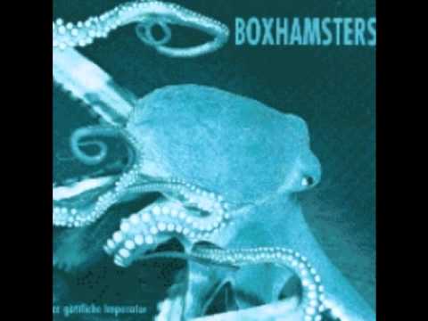 Boxhamsters - Der Gute König
