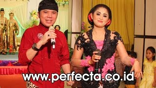 Download lagu Dimas Tedjo - Setyo Tuhu - Cs. Purwo Wilis mp3