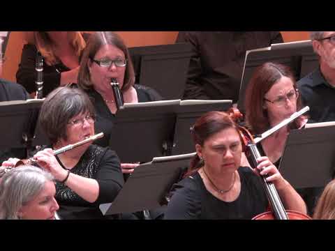 Meet the MusicaNova Orchestra