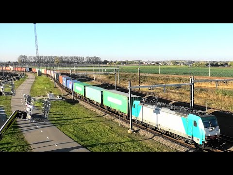 186 231, Bombardier TRAXX w containertrain to Betuwe route pass railyard Kijfhoek, 28 OCT 2021