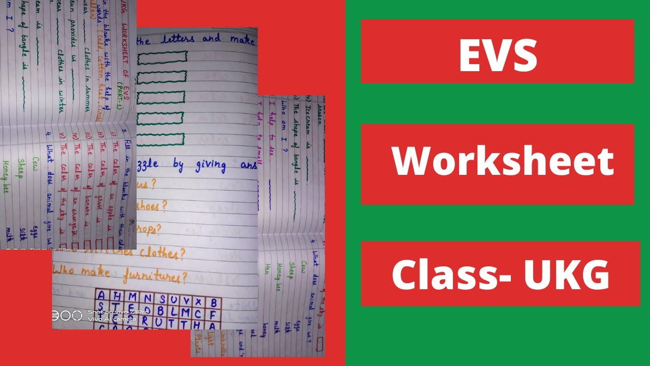 UKG EVS worksheet | EVS worksheet of class ukg | Class UKG | UKG EVS