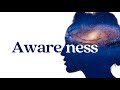What is AWARENESS? What does AWARENESS Mean? Define AWARENESS (Meaning & Definition Explained)