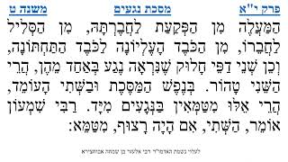 מסכת נגעים פרק י"א משנה ט