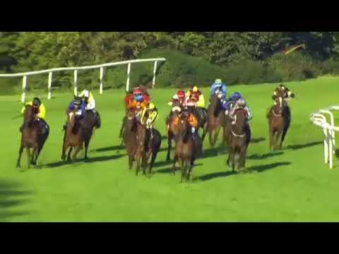 Großer Preis der BMW Niederlassung Hannover 2017 Listed