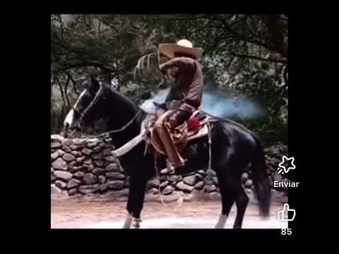 Puros Piales 🤠🐴🔥🌵