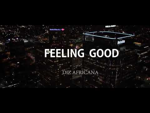 DIZ AFRICANA -  FEELING GOOD (OFFICIAL AUDIO) RELEASED FOR NO REASON AT ALL