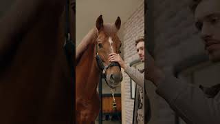 RICO MODA Fall/Winter reel 3