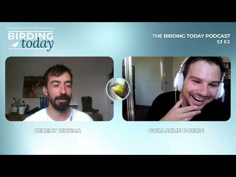 THE BIRDING TODAY PODCAST S3 E2 | The WA Shorebird Project | JEREMY RINGMA