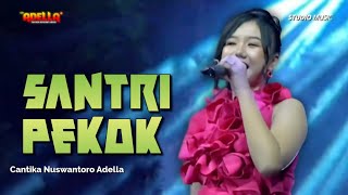 Download lagu SANTRI PEKOK - Cantika Nuswantoro Adella | OM ADELLA LIVE TEGAL [PERANTARA COMMUNITY] mp3