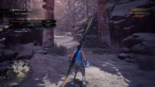 下手の物好き　MHWIやります