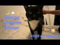 Head And Body Massage ASMR Cat Massage On Tuxie Fancy Cat