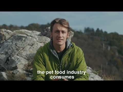 Working at Gutsy - HR picture 