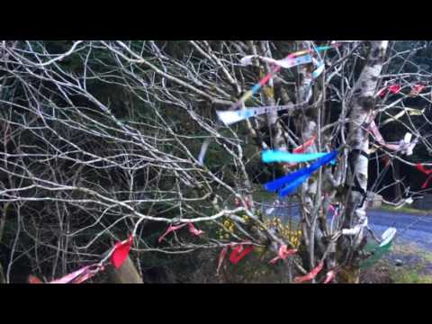 Breda Mayock - Little Chief