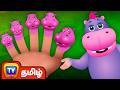 விரல் குடும்பம் நீர்யானை Finger Family Hippo ChuChu TV �