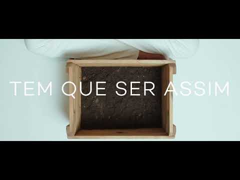 Tem Que Ser Assim - Surf Sessions