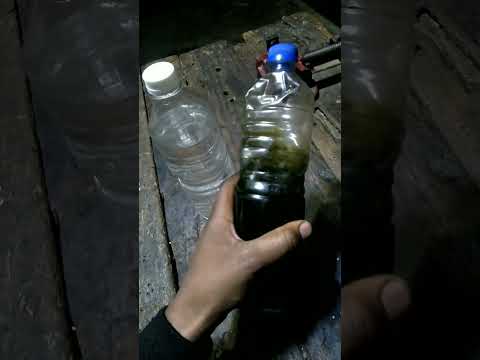 Starter Oil