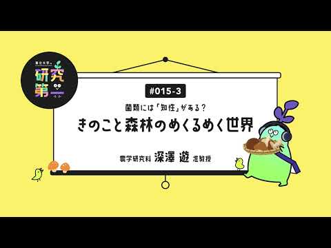 #015-3. 菌類の争いの跡、きのこの胞子がつくる模様、太陽光発電パネル... 研究室のアイテムたち ー菌類には「知性」がある？ 〜きのこと森林のめくるめく世界〜3