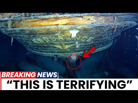 Underwater Robots Find Shackleton's Endurance Shipwreck in Antarctic What They Saw Is TERRIFYING