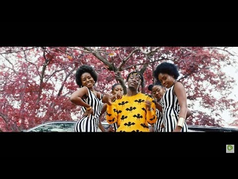 Fancy Gadam - YakaChana Ft Mr Eazi   ( Official Video)
