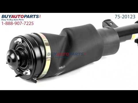 Strut Assembly from BuyAutoParts.com - Part# 75-20123
