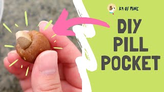 Homemade Pill Pockets for Dogs: How to Get Dog to Take Pill