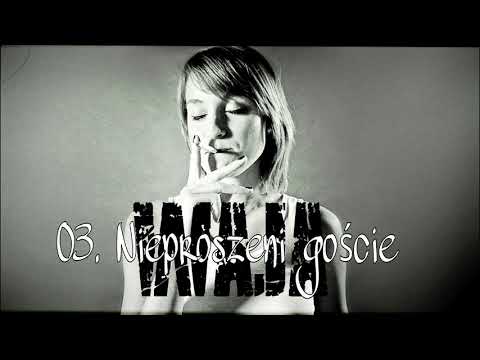 03. Nieproszeni goście (Punk Rock 2013)