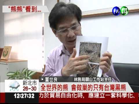 保育有成! 發現台灣黑熊的窩