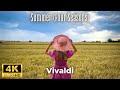 4K Nature Relaxation Film Vivaldi Summer Four Seasons