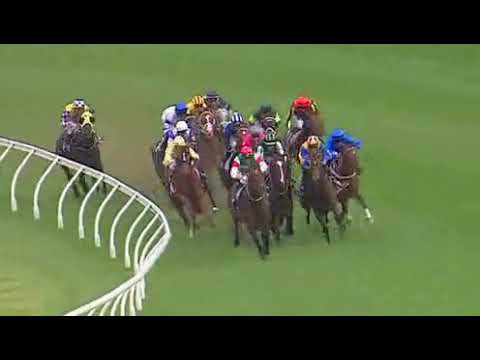 REAL IMPACT winning 2015 Gr 1 George Ryder Stks