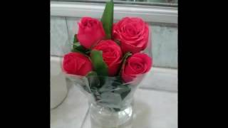 Feliz cumpleaños, para una maestra