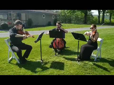Promotional video thumbnail 3 for C. Stelle Music - Weddings & Events