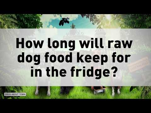 download lagu mp3 mp4 How Long Can Raw Dog Food Stay Out, download lagu How Long Can Raw Dog Food Stay Out gratis, unduh video klip How Long Can Raw Dog Food Stay Out