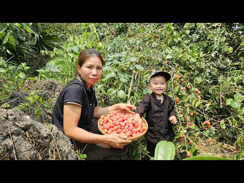 Јадни дечак: Шта ће самохрана мајка и њен син када њена најстарија ћерка крене у школу?