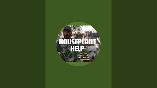 🔴Answering Your Plant Questions LIVE 🔴